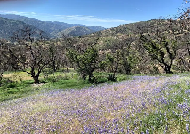 1st image of 0 Cachagua, Carmel Valley, CA 93924 | MLS# ML81884266