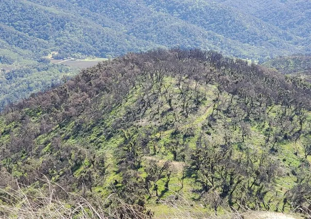 3rd image of 0 Cachagua, Carmel Valley, CA 93924 | MLS# ML81884266