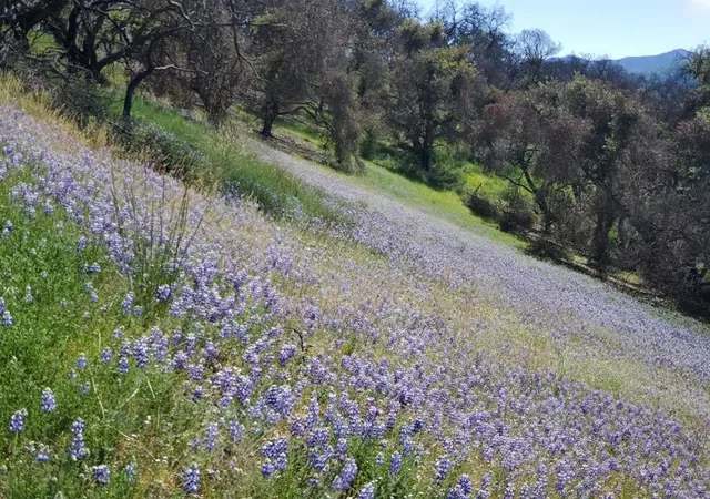 4th image of 0 Cachagua, Carmel Valley, CA 93924 | MLS# ML81884266