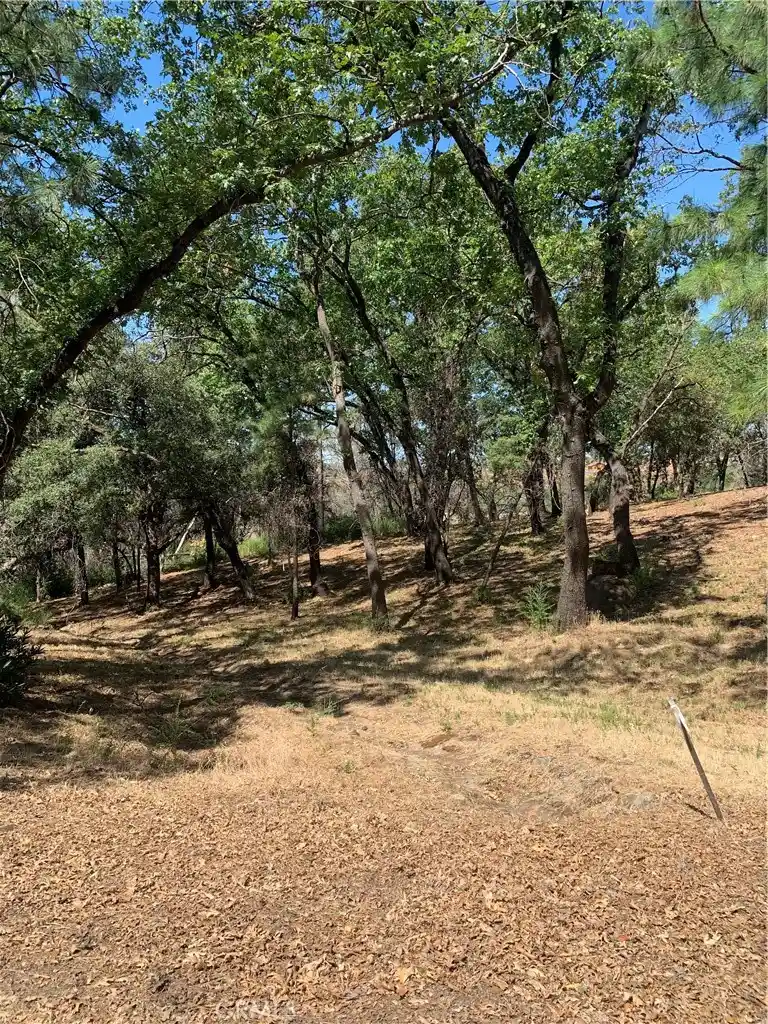 Photo 1 of Land for sale at 4896 Malibu Dr, Paradise, CA 95969 | MLS# SN22148840 | Listing updated on 2026-10-19