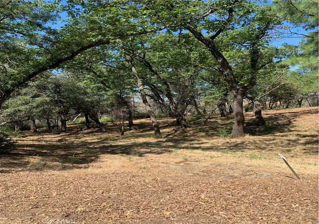 1st image of 4896 Malibu Dr, Paradise, CA 95969 | MLS# SN22148840