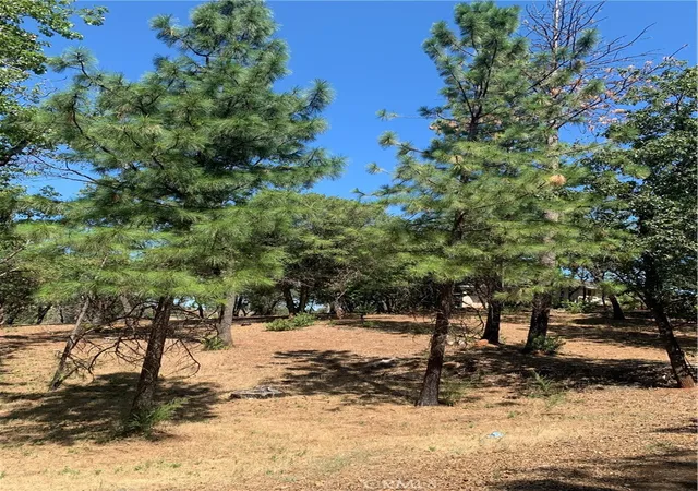 Photo 3 of Land for sale at 4896 Malibu Dr, Paradise, CA 95969 | MLS# SN22148840 | Listing updated on 2026-06-19