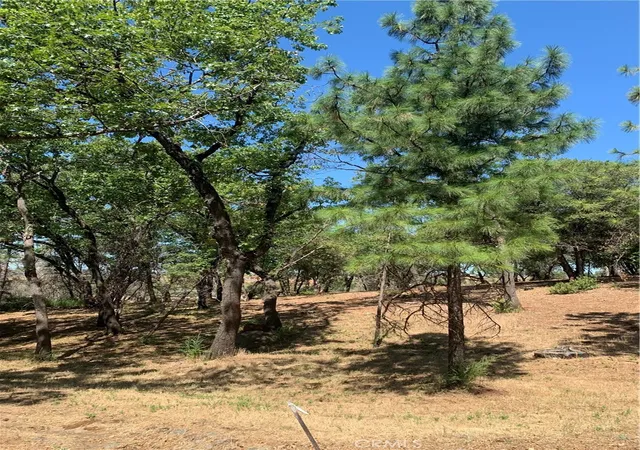 Photo 3 of Land for sale at 4896 Malibu Dr, Paradise, CA 95969 | MLS# SN22148840 | Listing updated on 2026-06-19