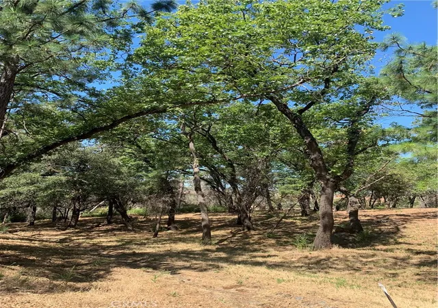 Photo 4 of Land for sale at 4896 Malibu Dr, Paradise, CA 95969 | MLS# SN22148840 | Listing updated on 2026-06-19