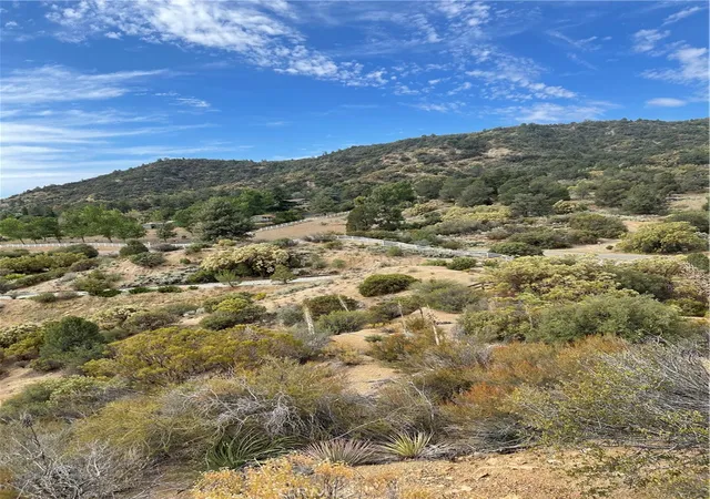 13th image of 2 Goldshot Creek Rd, Mountain Center, CA 92561 | MLS# SW22171999