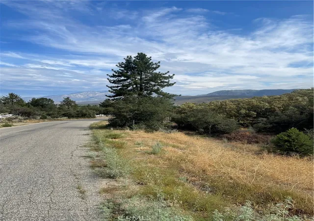 Photo 3 of Land for sale at 2 Goldshot Creek Rd, Mountain Center, CA 92561 | MLS# SW22171999 | Listing updated on 2026-05-10