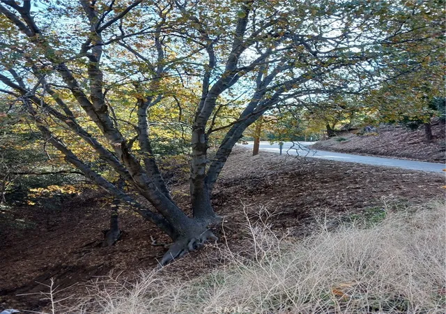 Photo 3 of Land for sale at 24764 Edelwiess Dr, Crestline, CA 92325 | MLS# EV22239768 | Listing updated on 2026-07-06