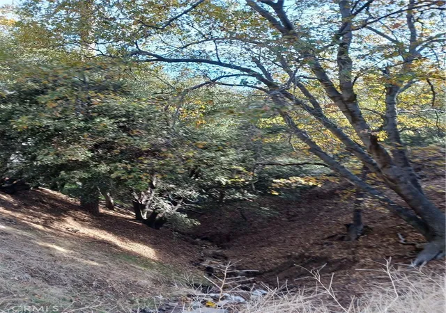 Photo 3 of Land for sale at 24764 Edelwiess Dr, Crestline, CA 92325 | MLS# EV22239768 | Listing updated on 2026-07-06