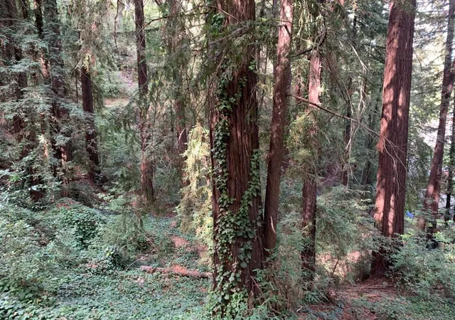 Photo 3 of Land for sale at 0 Helen Way, Los Gatos, CA 95033 | MLS# ML81912636 | Listing updated on 2026-07-09