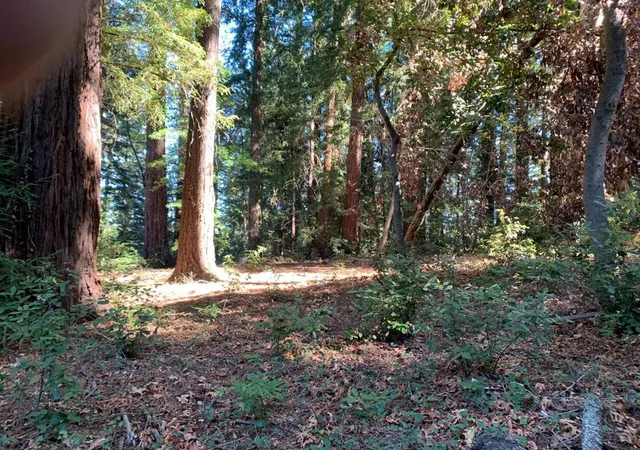 Homes for sale in Los Gatos, CA | 0 Santa Ana Rd, Los Gatos, CA 95033 | MLS# ML81913737