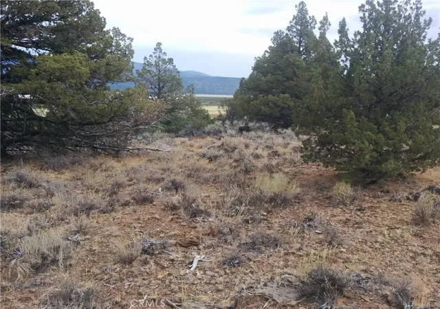 3rd image of 0 Street, Susanville, CA 96130 | MLS# EV23005700