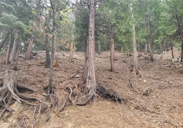3rd image of 60 Lausanne Dr, Crestline, CA 92325 | MLS# EV23082476