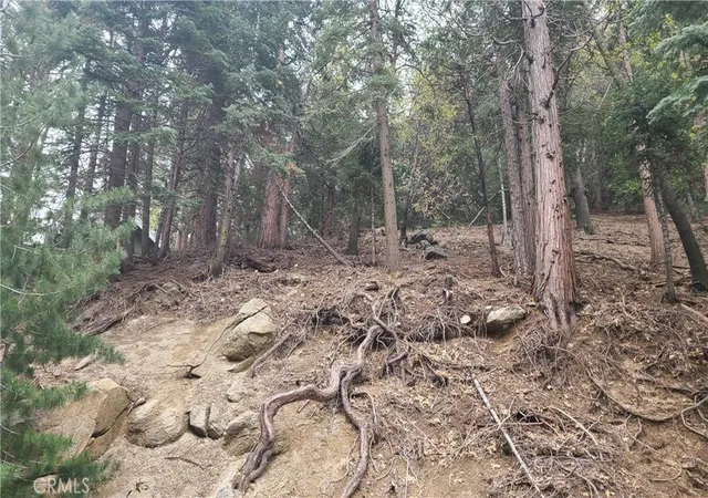 4th image of 60 Lausanne Dr, Crestline, CA 92325 | MLS# EV23082476