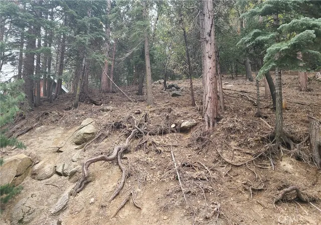 5th image of 60 Lausanne Dr, Crestline, CA 92325 | MLS# EV23082476