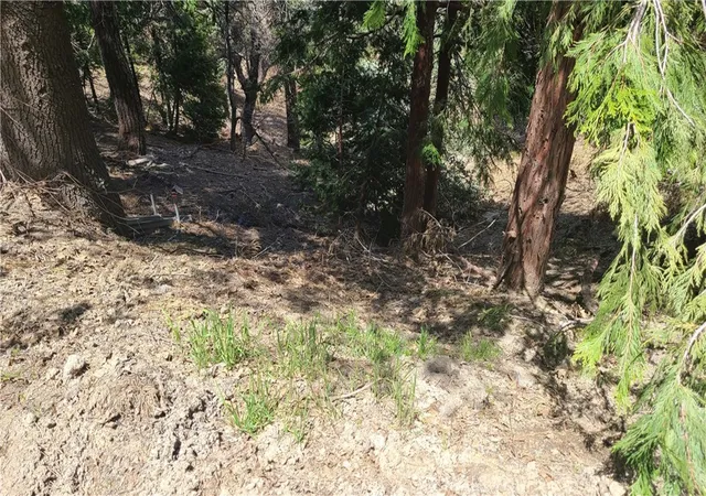 1st image of 29186 Arrowhead Dr, Cedar Glen, CA 92321 | MLS# EV23082522