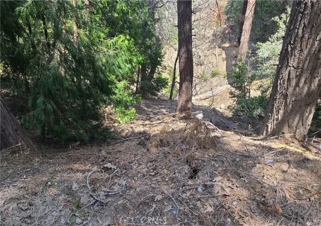 3rd image of 29186 Arrowhead Dr, Cedar Glen, CA 92321 | MLS# EV23082522
