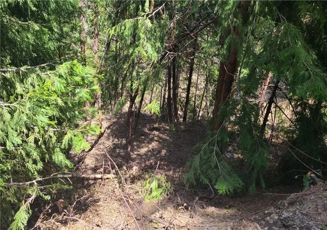 4th image of 29186 Arrowhead Dr, Cedar Glen, CA 92321 | MLS# EV23082522