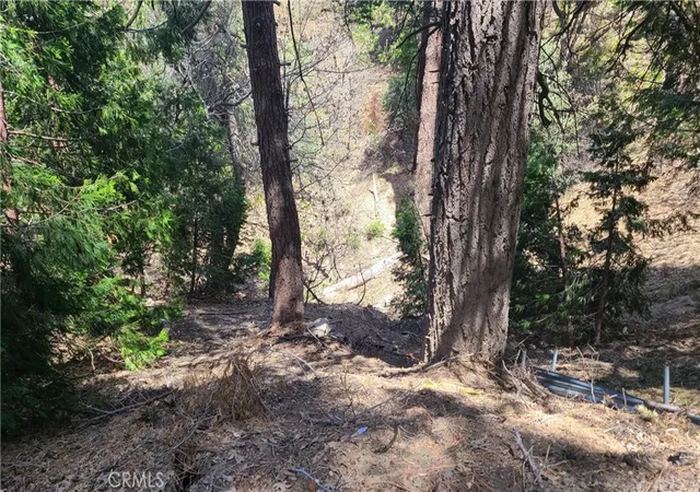 5th image of 29186 Arrowhead Dr, Cedar Glen, CA 92321 | MLS# EV23082522