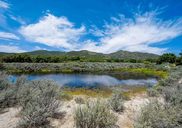 1st image of 160 Acres Canebrake, Boulevard, CA 91905 | MLS# PTP2302362