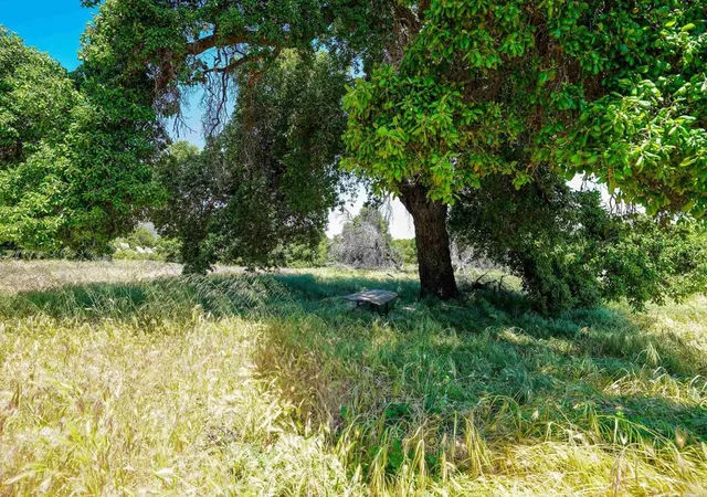 2nd image of 160 Acres Canebrake, Boulevard, CA 91905 | MLS# PTP2302362