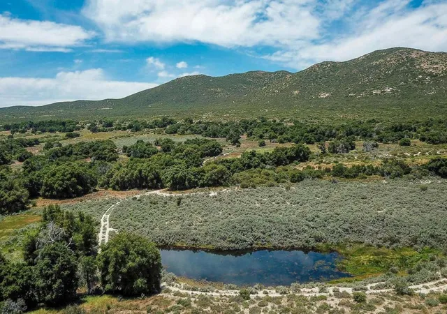 3rd image of 160 Acres Canebrake, Boulevard, CA 91905 | MLS# PTP2302362