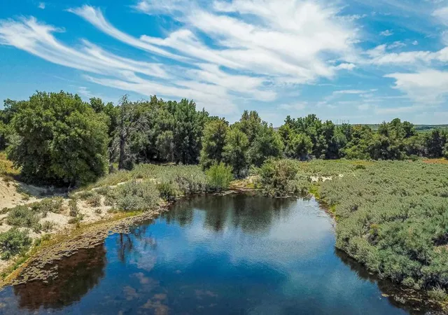 4th image of 160 Acres Canebrake, Boulevard, CA 91905 | MLS# PTP2302362