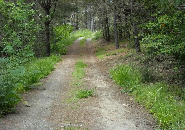 1st image of 700 Cedar St, Moss Beach, CA 94038 | MLS# ML81930827