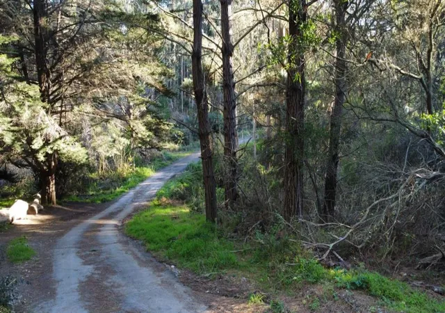 3rd image of 700 Cedar St, Moss Beach, CA 94038 | MLS# ML81930827