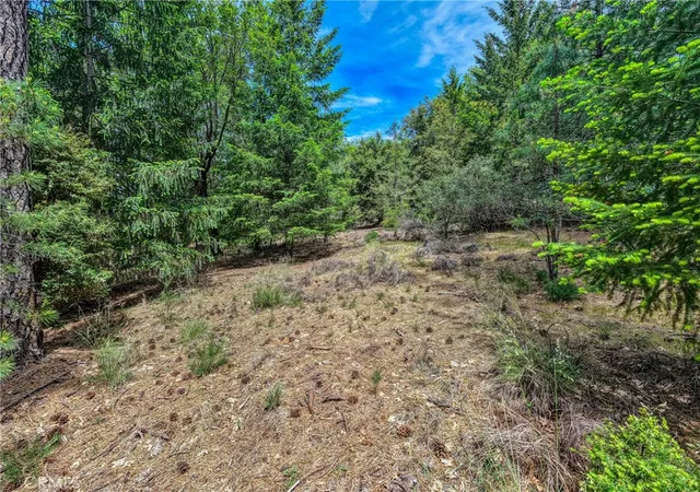 Photo 4 of Land for sale at 8833 Fox Dr, Cobb, CA 95426 | MLS# LC23122338 | Listing updated on 2026-05-27
