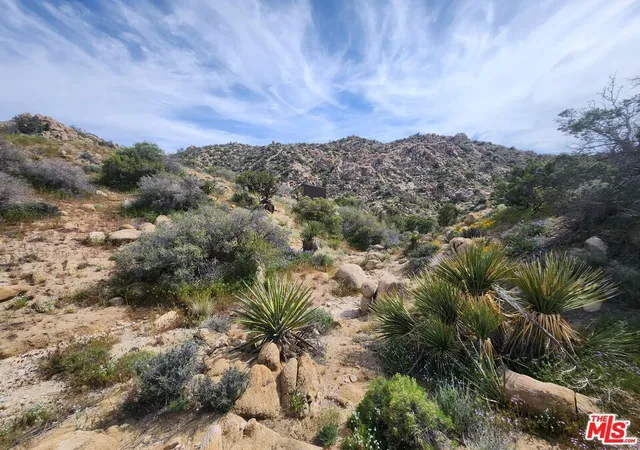 1st image of 20 W Omega Trl, Yucca Valley, CA 92286 | MLS# 23291589