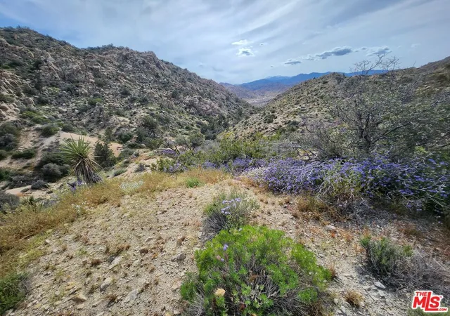 2nd image of 20 W Omega Trl, Yucca Valley, CA 92286 | MLS# 23291589