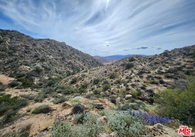 3rd image of 20 W Omega Trl, Yucca Valley, CA 92286 | MLS# 23291589