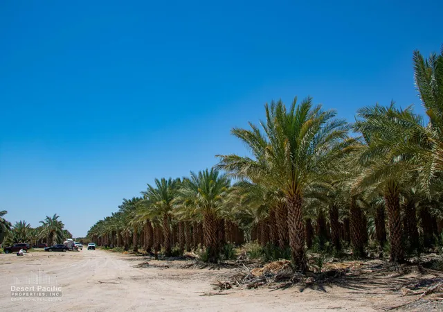 Photo 2 of Land for sale at 1095 Midland Rd, Blythe, CA 92225 | MLS# 219097592DA | Listing updated on 2026-06-17