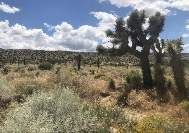 Homes for sale in Pearblossom, CA | 0 Vac/pearblossom Pav /vic 160 S, Pearblossom, CA 93591 | MLS# JT23142055