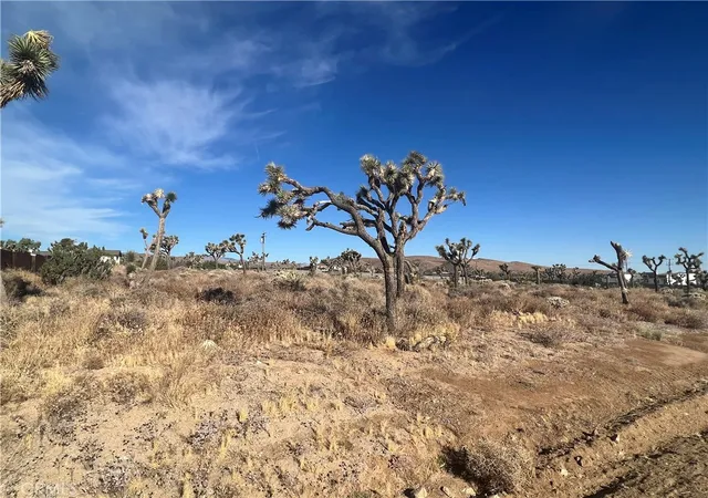 1st image of 111 Wallaby, Yucca Valley, CA 92284 | MLS# JT23143920