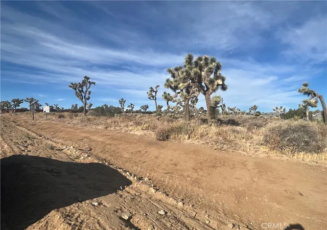 2nd image of 111 Wallaby, Yucca Valley, CA 92284 | MLS# JT23143920