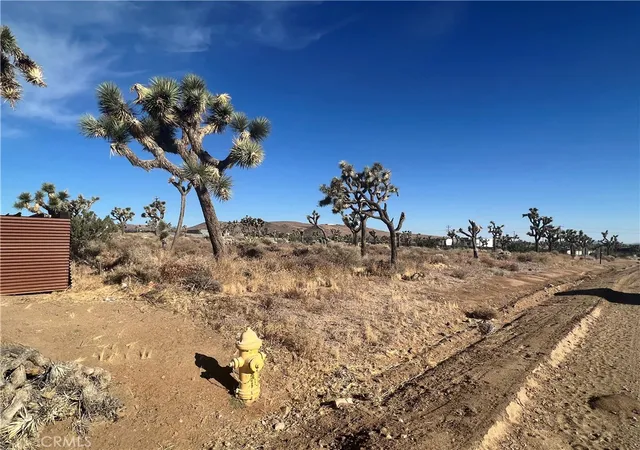 3rd image of 111 Wallaby, Yucca Valley, CA 92284 | MLS# JT23143920
