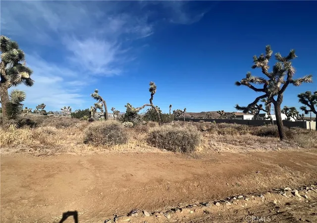4th image of 111 Wallaby, Yucca Valley, CA 92284 | MLS# JT23143920