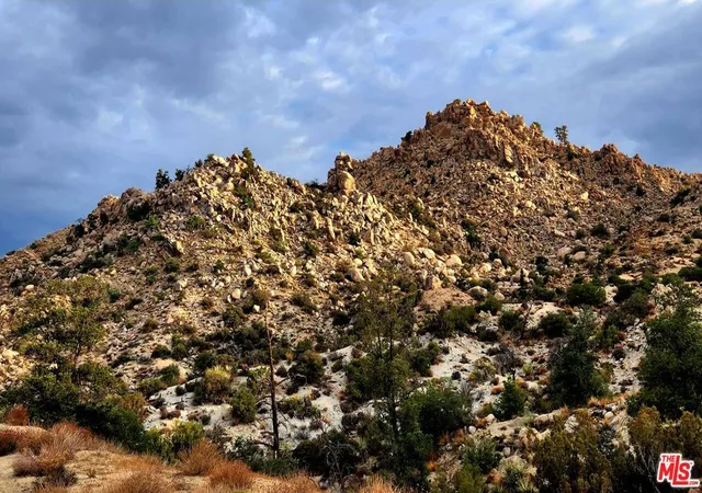 1st image of 10 W Omega Trl, Yucca Valley, CA 92284 | MLS# 23305221