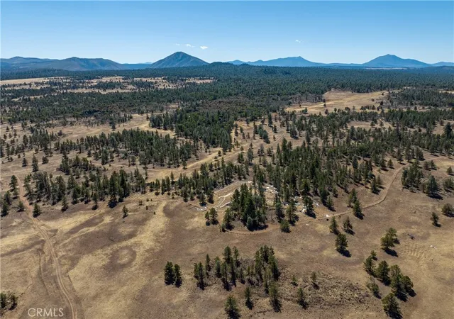 3rd image of 0 Old Hwy Road Road, Mc Arthur, CA 96056 | MLS# SN23174769