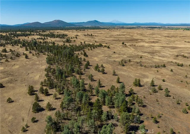 5th image of 0 Old Hwy Road Road, Mc Arthur, CA 96056 | MLS# SN23174769