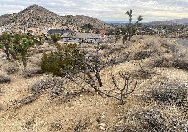 Photo 2 of Land for sale at 0 Free Gold Dr, Yucca Valley, CA 92284 | MLS# PW23187166 | Listing updated on 2026-04-15