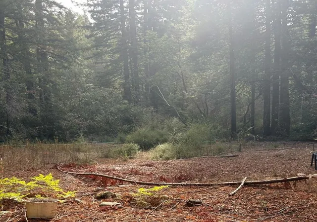 2nd image of 235 Double Bogey Dr, Boulder Creek, CA 95006 | MLS# ML81944581