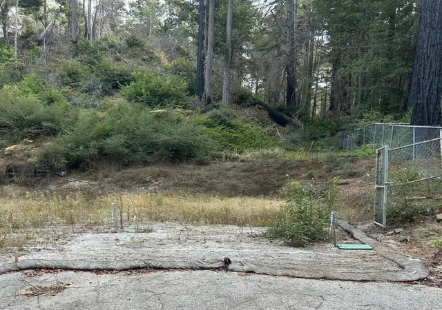 1st image of 133 Lake Dr, Boulder Creek, CA 95006 | MLS# ML81944575