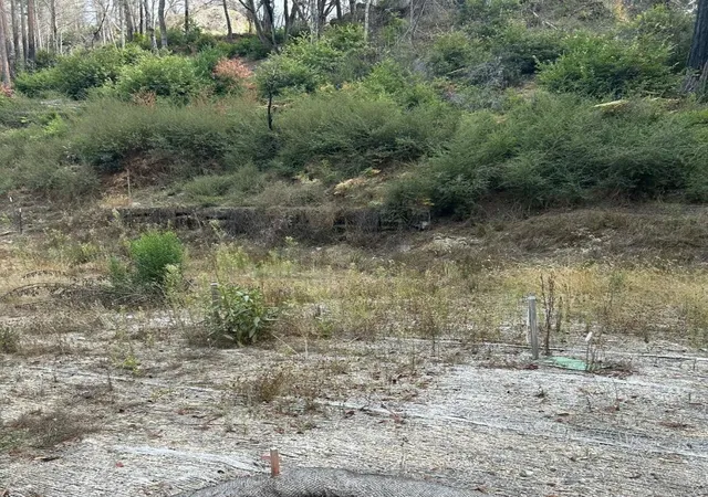 6th image of 133 Lake Dr, Boulder Creek, CA 95006 | MLS# ML81944575
