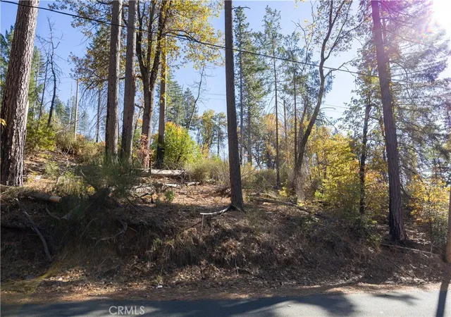 Homes for sale in Cobb, CA | 10991 Gifford Springs Rd, Cobb, CA 95426 | MLS# LC23210060