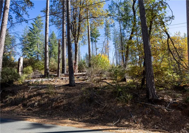 Homes for sale in Cobb, CA | 10991 Gifford Springs Rd, Cobb, CA 95426 | MLS# LC23210060