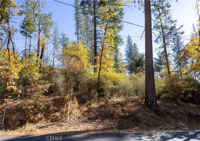 Homes for sale in Cobb, CA | 10991 Gifford Springs Rd, Cobb, CA 95426 | MLS# LC23210060