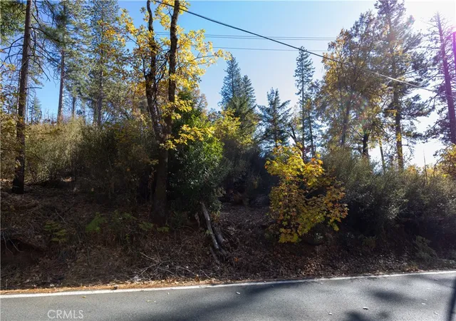 Homes for sale in Cobb, CA | 10971 Gifford Springs Rd, Cobb, CA 95426 | MLS# LC23210071