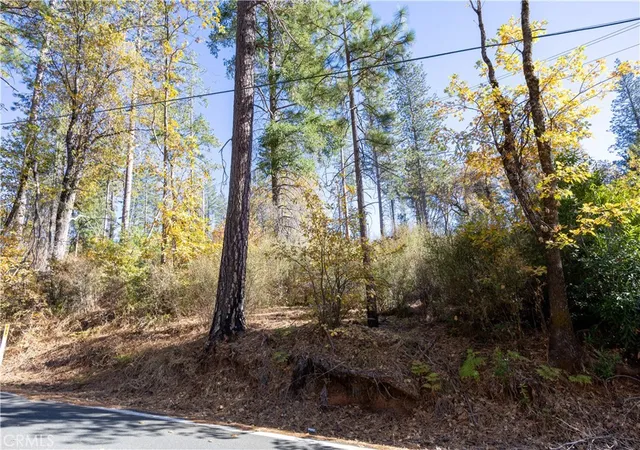Homes for sale in Cobb, CA | 10981 Gifford Springs Rd, Cobb, CA 95426 | MLS# LC23210076